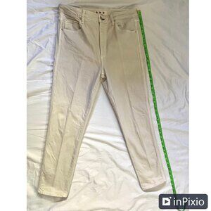 AMO  jeans from Anthropology,  natural canvas  high waisted  for a relaxed fit